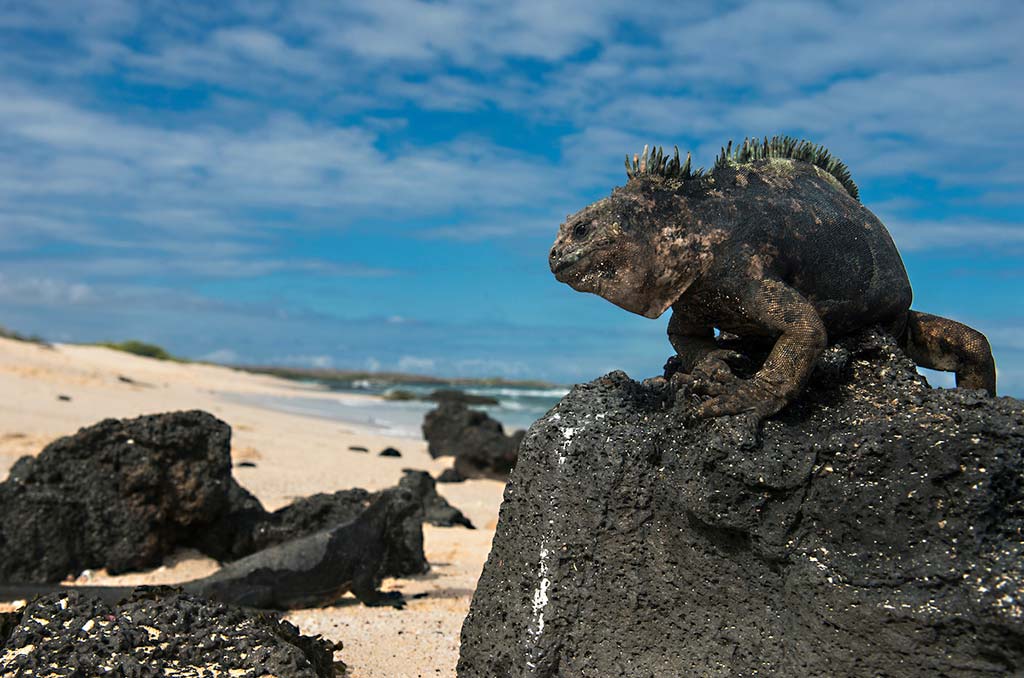Galapagos_East_06Dec_05