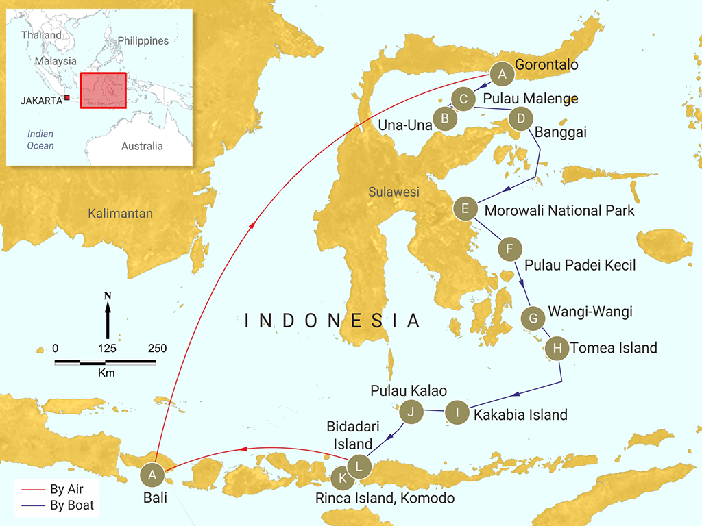 Indonsia 2019