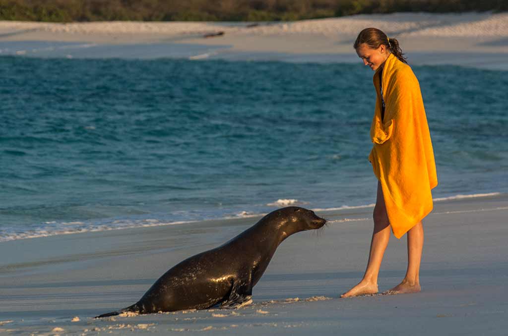 SC436_Sea_lion