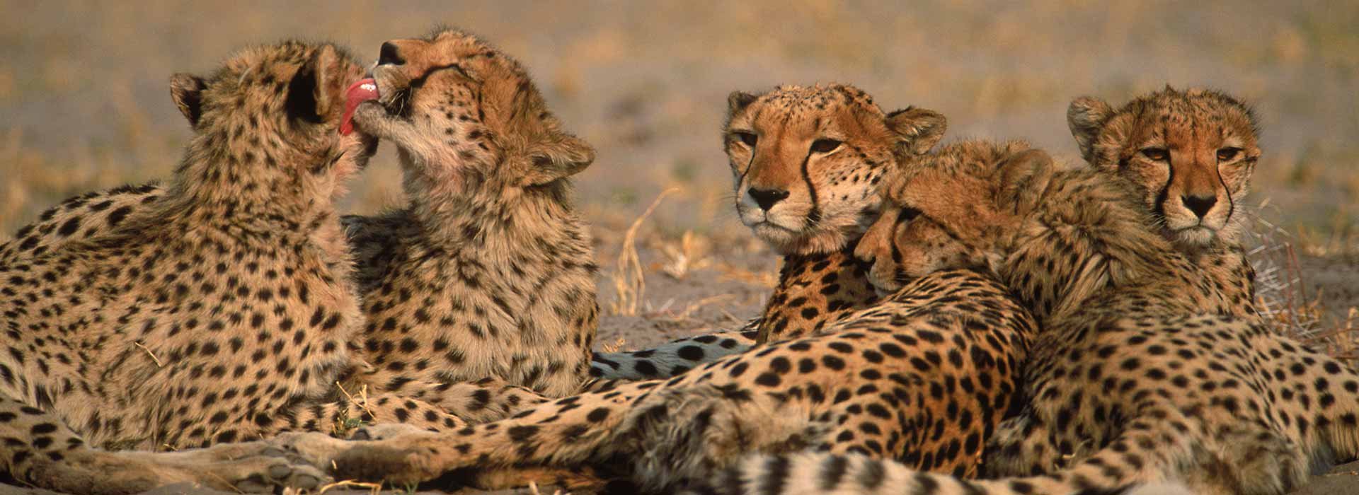 BOTSWANA 13 – 21 DECEMBER, 2019