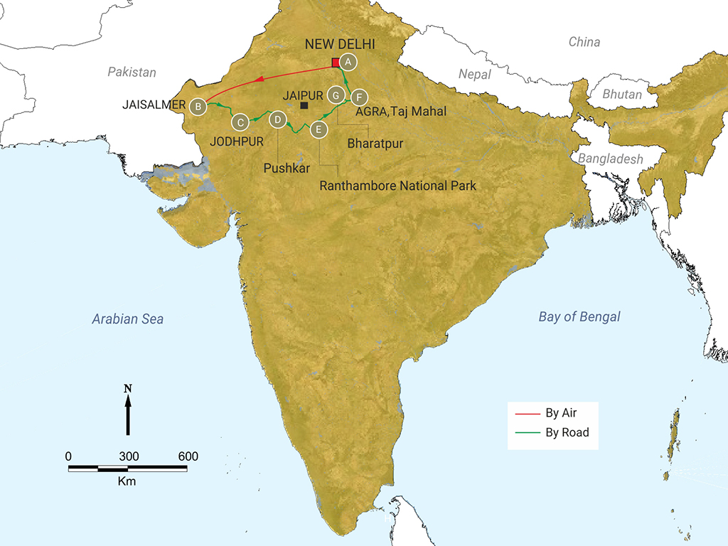 India2019