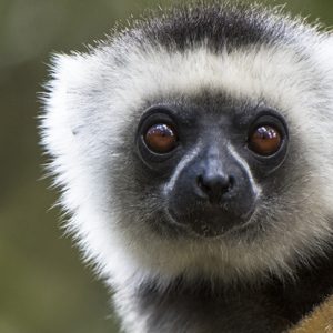 MADAGASCAR September, 2021