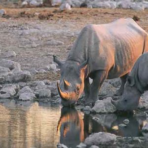 Namibia Botswana 31 May - 15 June, 2025